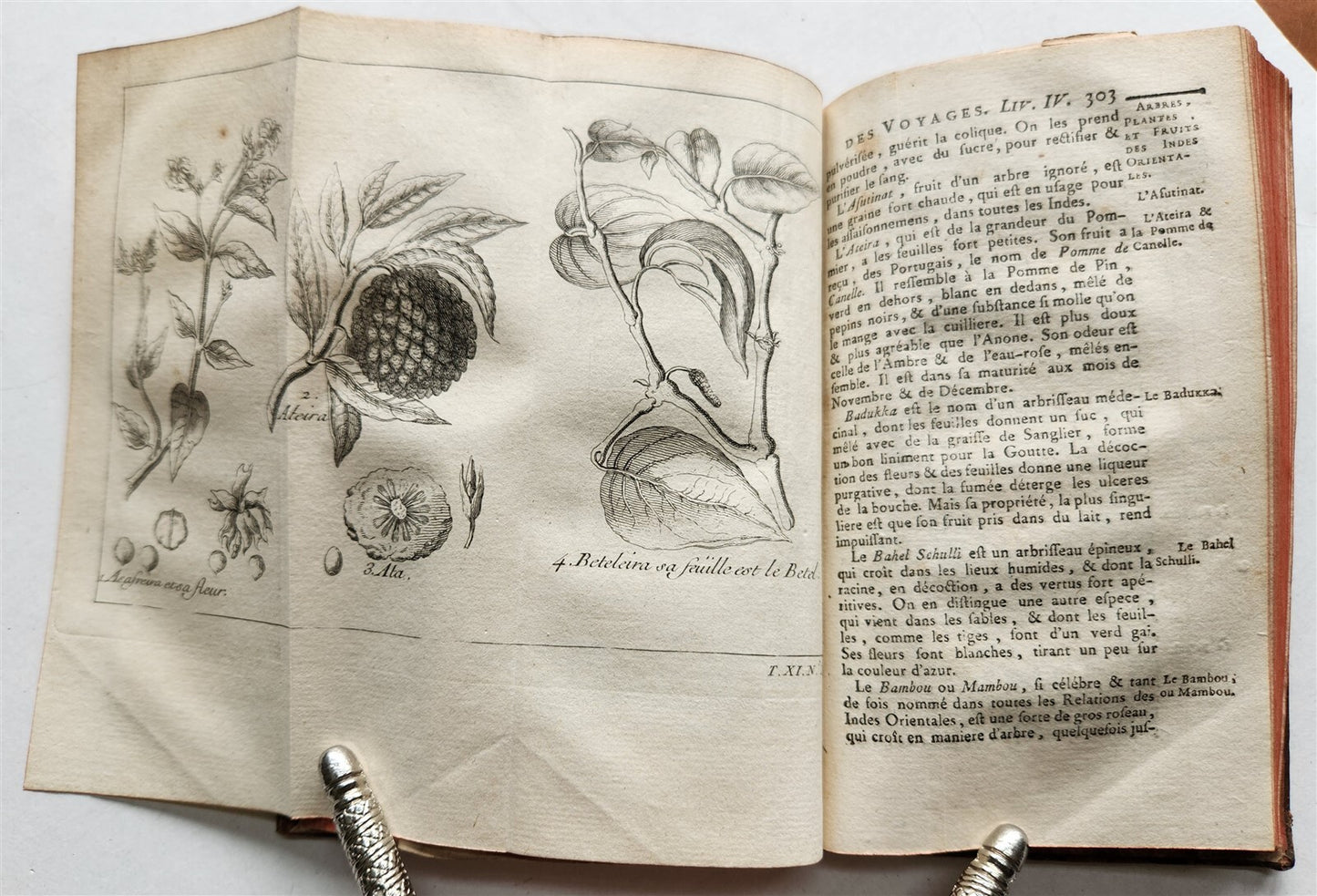 1753 HISTOIRE des VOYAGES antique Vol.44 EAST INDIES TRAVELS illustrated