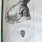 1754 ANATOMY DENTISTRY BOTANY antique ILLUSTRATED Continet anatomica physiology