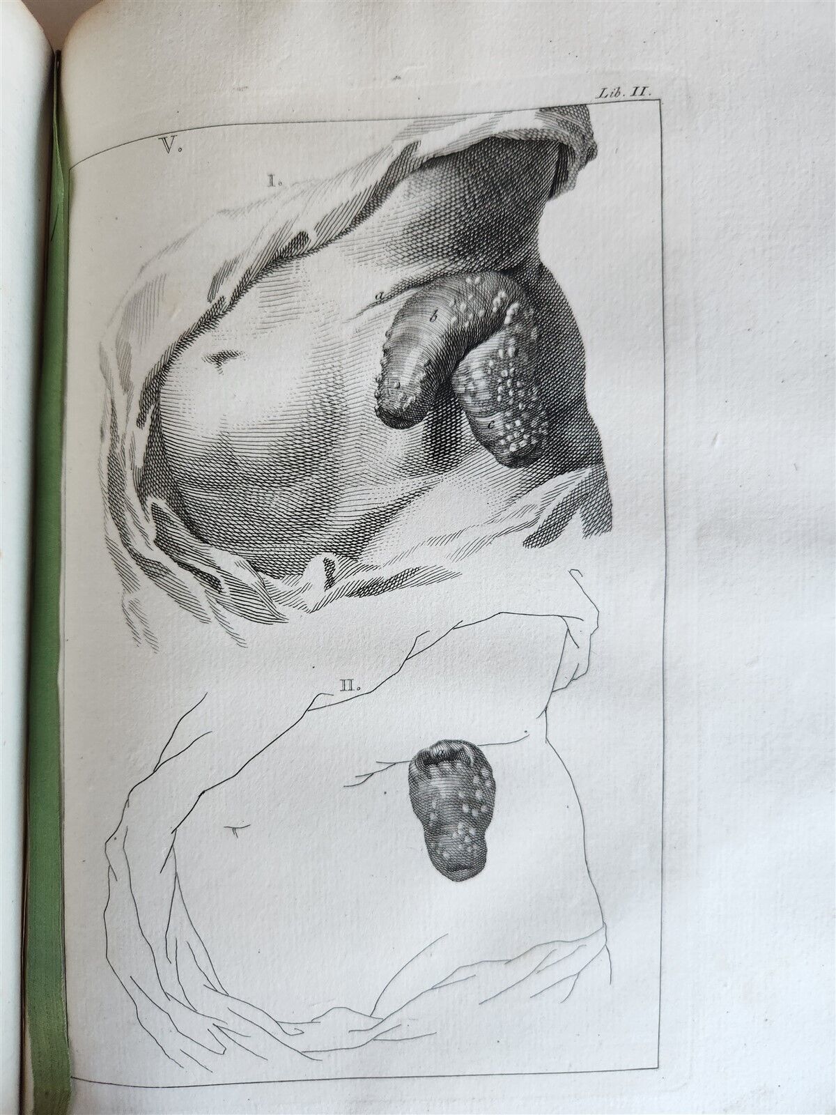 1754 ANATOMY DENTISTRY BOTANY antique ILLUSTRATED Continet anatomica physiology