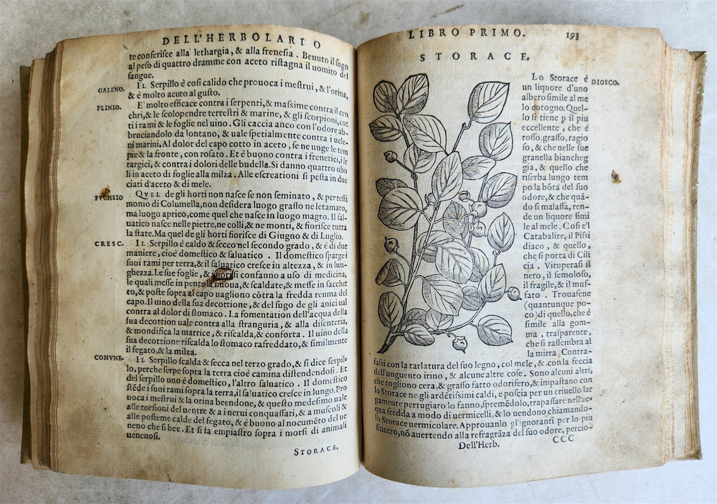 1561 PHARMACOPEIA ILLUSTRATED MEDICAL PLANTS by SANSOVINO antique 16th CENTURY