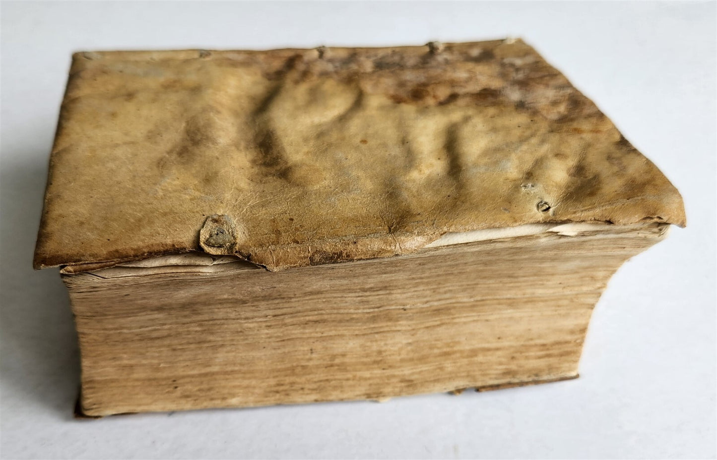 1574 Jean TIXIER antique VELLUM BOUND Officinae Ioannis Rauisii Textoris
