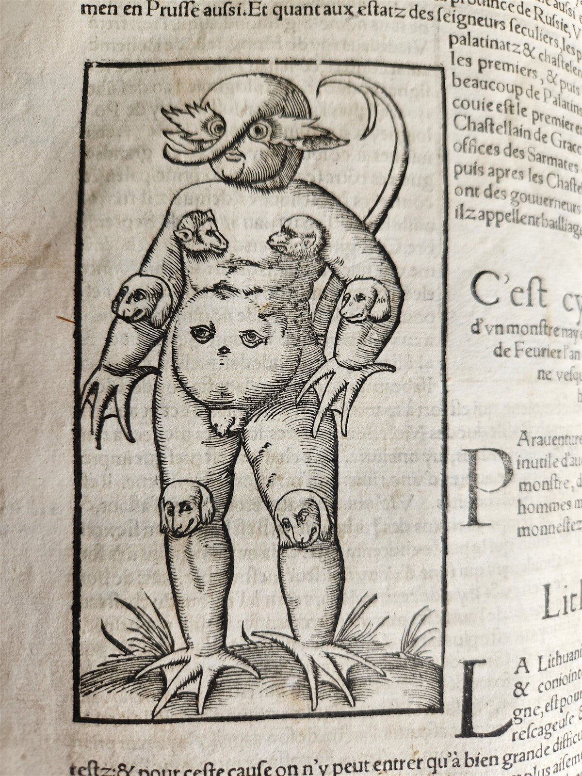 1556 COSMOGRAPHY by Sebastian Munster antique RARE ILLUSTRATED 16th cent. FOLIO