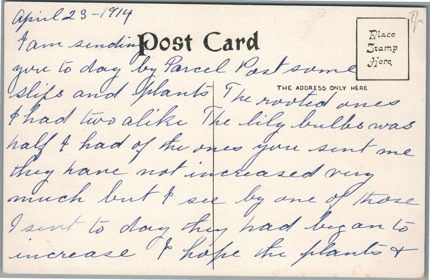 STEUBENVILLE OH FIRE HOUSE & COMPANY ANTIQUE POSTCARD