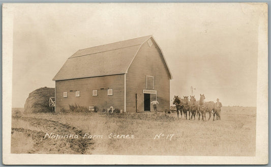 CANADA NAPINKA FARM GARDEN of MANITOBA ANTIQUE REAL PHOTO POSTCARD RPPC