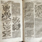 1696 THEATRUM BOTANICUM by Theodor ZWINGER antique ILLUSTRATED FOLIO in GERMAN