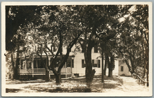 SHEFFIELD MA OREHARD SHADE ANTIQUE REAL PHOTO POSTCARD RPPC