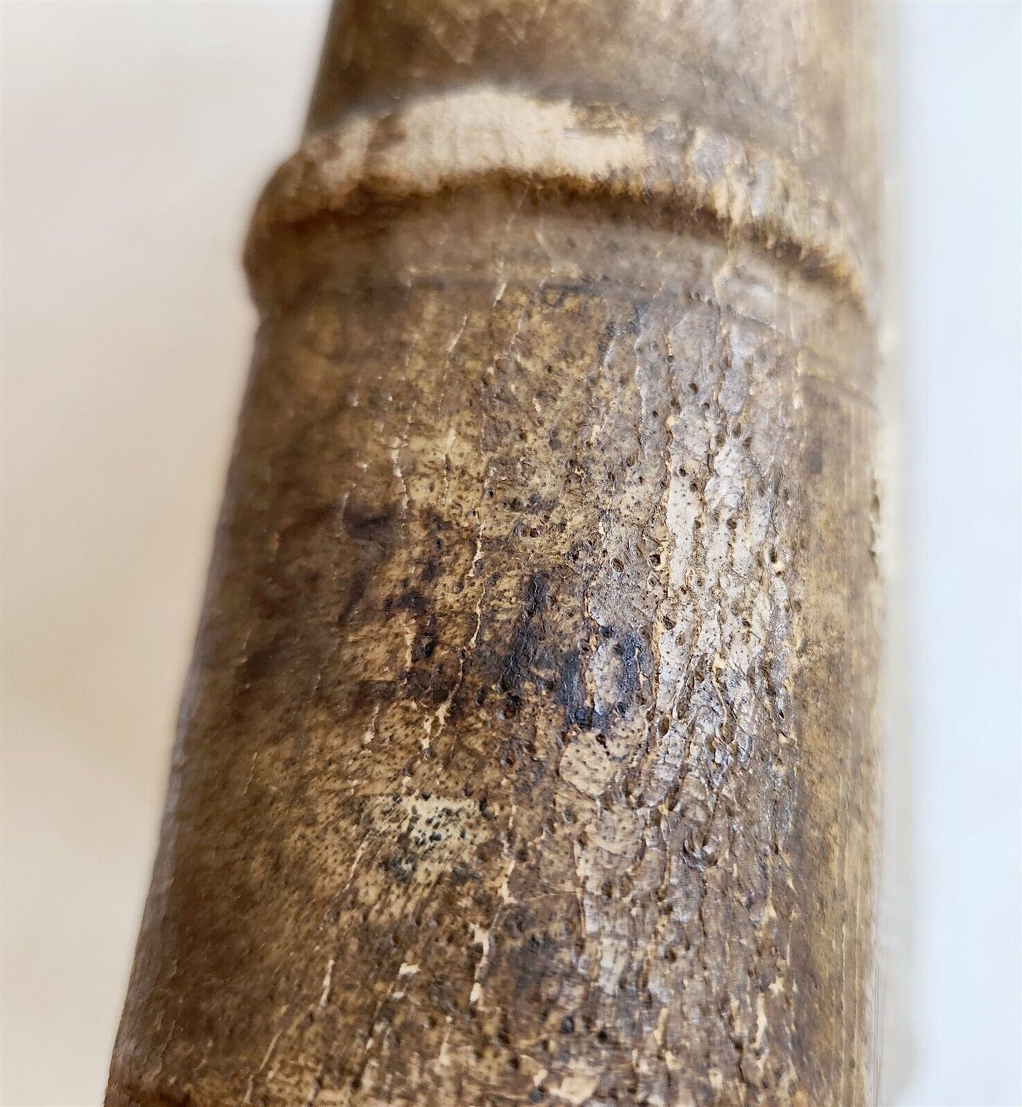 1545 TERULLIAN THEOLOGY in LATIN antique 16th CENTURY FOLIO PIGSKIN BOUND