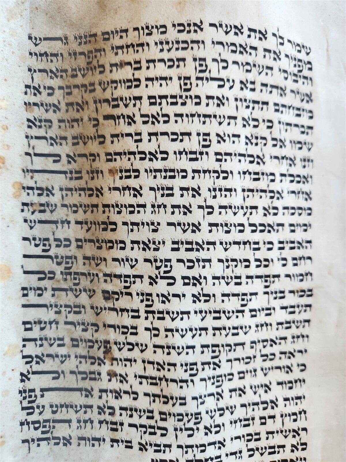 TORAH SCROLL FRAGMENT MANUSCRIPT on VELLUM antique BIBLE EXODUS 21:28-34:35