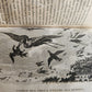 1818 HISTORY of ANIMALS ILLUSTRATED w/ 65 PLATES antique 6 VOLUMES