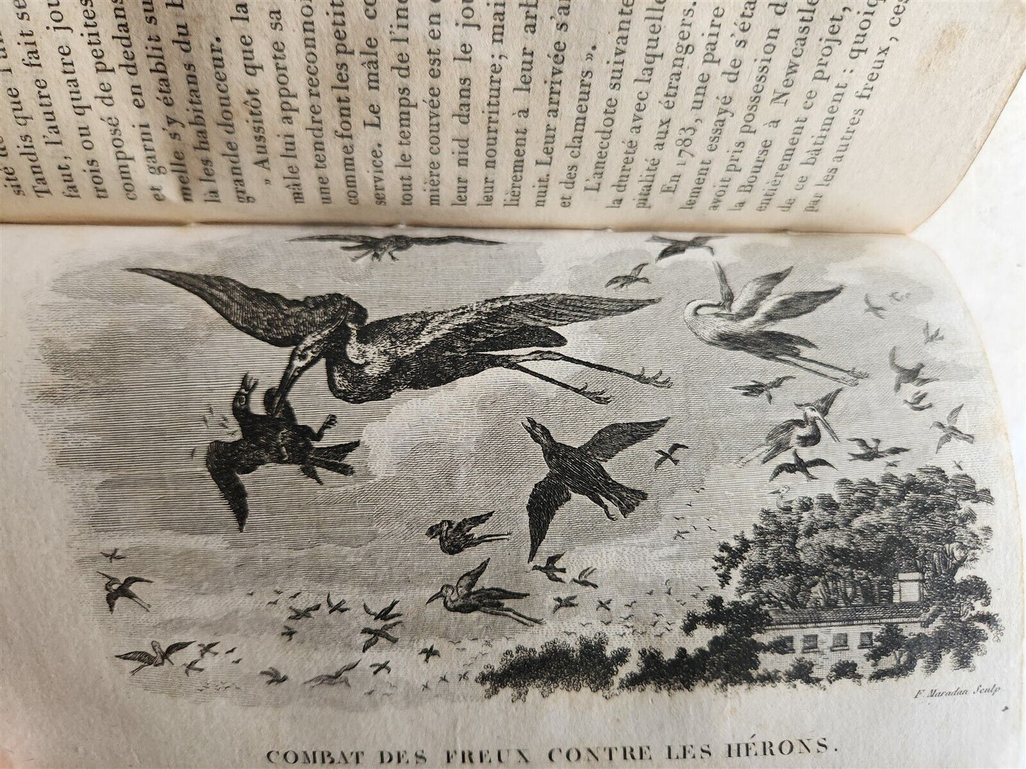 1818 HISTORY of ANIMALS ILLUSTRATED w/ 65 PLATES antique 6 VOLUMES