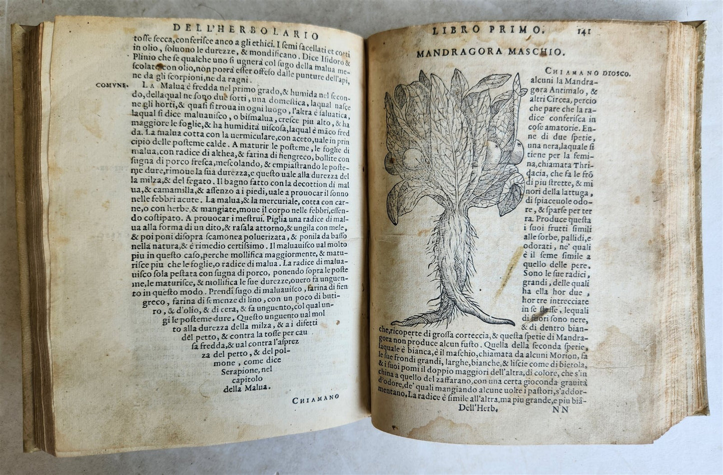 1561 PHARMACOPEIA ILLUSTRATED MEDICAL PLANTS by SANSOVINO antique 16th CENTURY