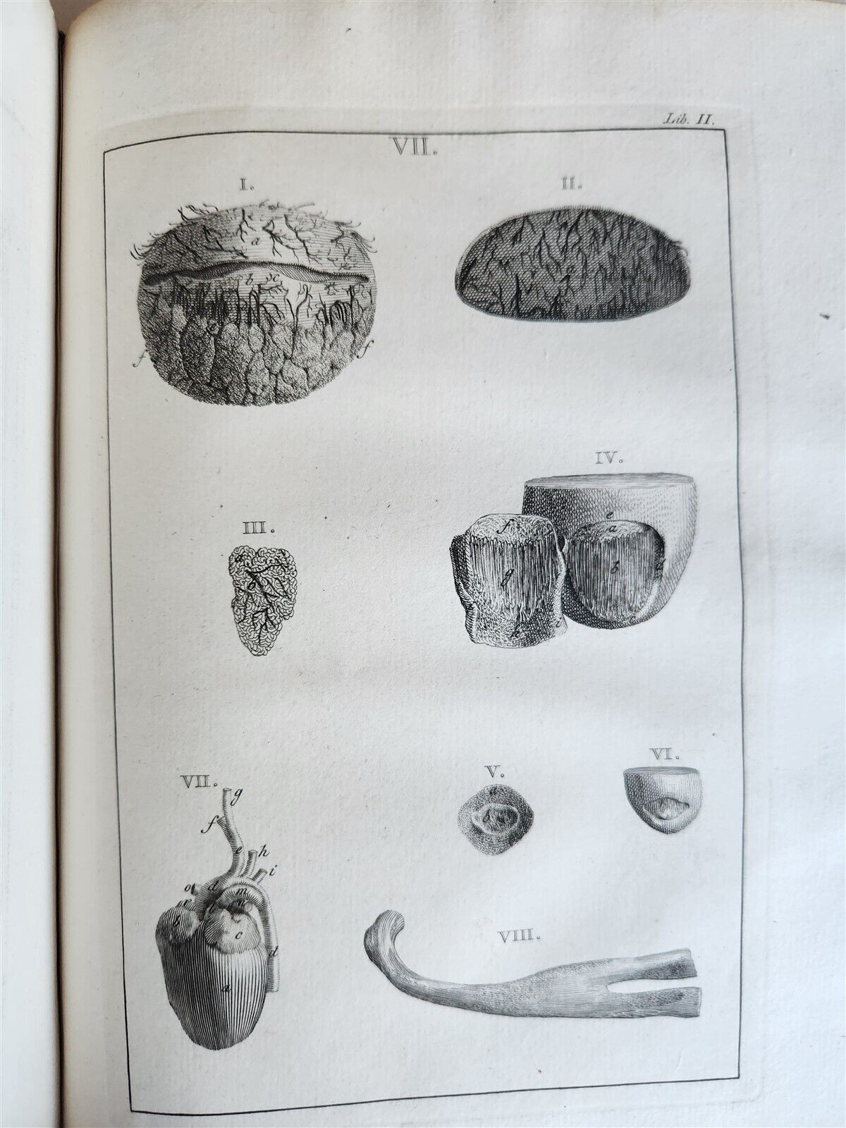 1754 ANATOMY DENTISTRY BOTANY antique ILLUSTRATED Continet anatomica physiology