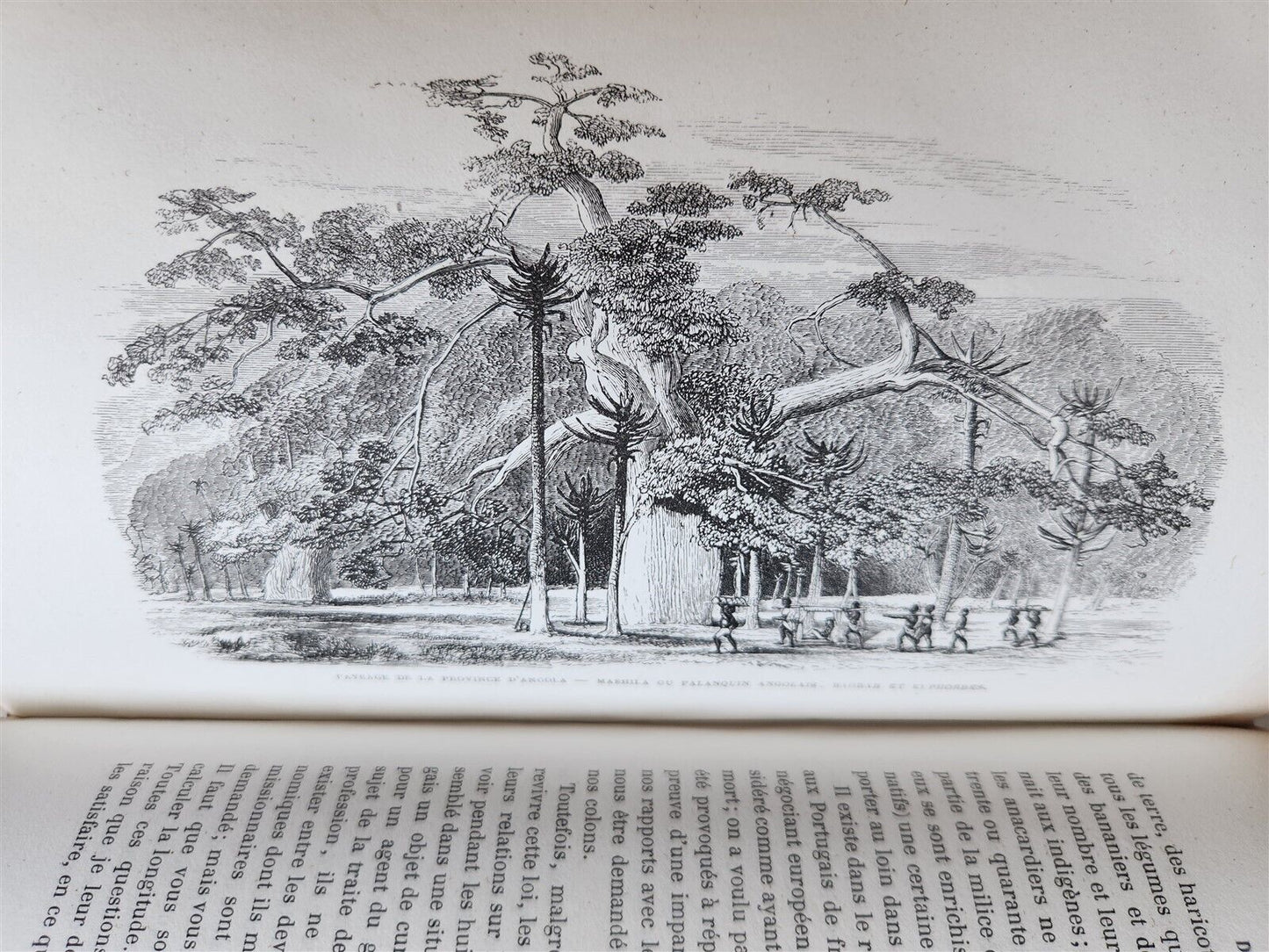 1859 EXPLORATIONS L'AFRIQUE et AUSTRALE LIVINGSTONE VOYAGES antique ILLUSTRATED