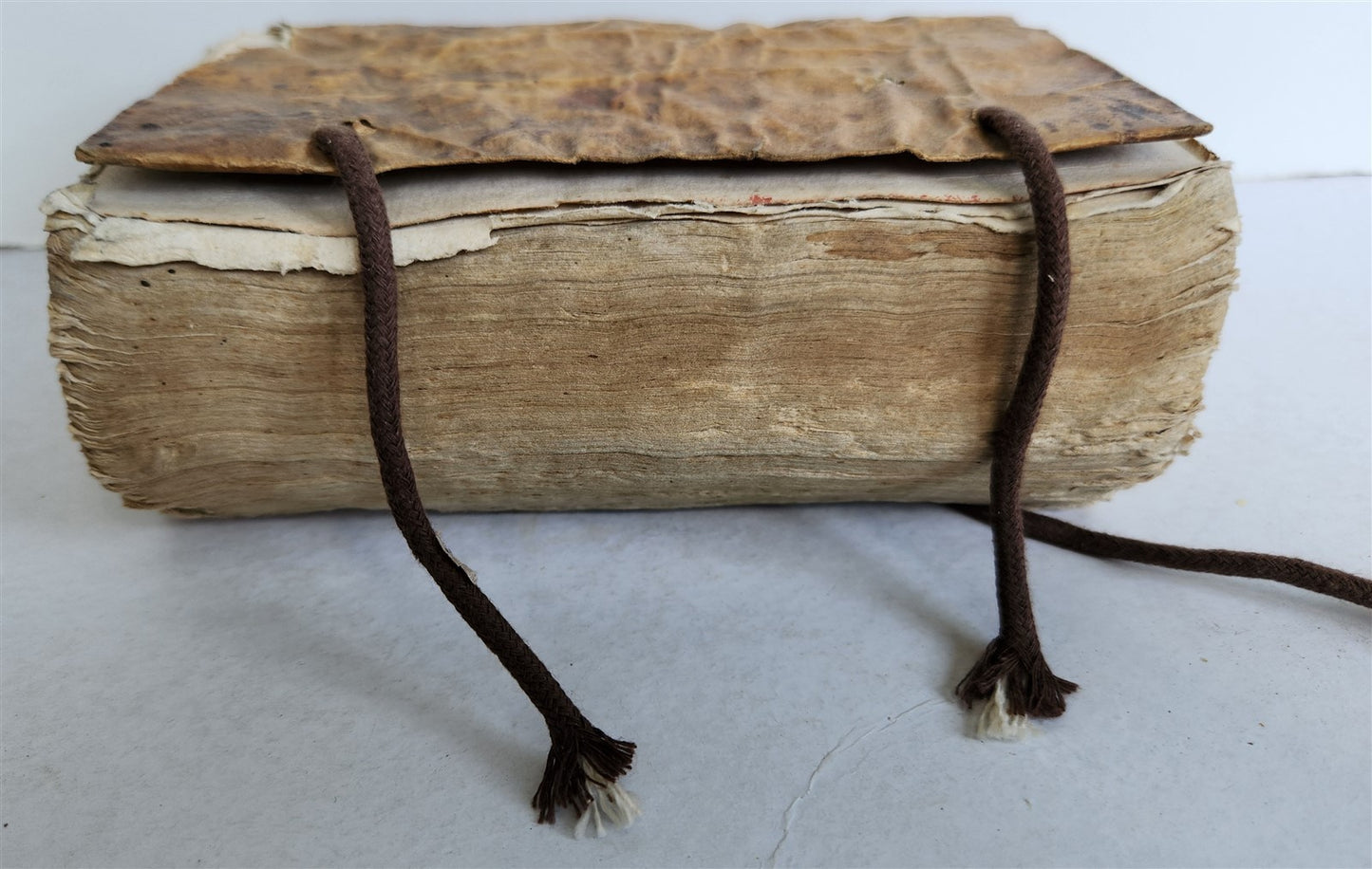 1571 BIBLE OLD TESTAMENT COMMENTARIES ANTIQUE 16th CENTURY vellum binding