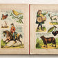 1900s antique ILLUSTRATED GERMAN CHILDREN BOOK NEUES BILDERALBUM accordion style
