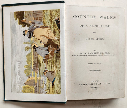 1878 COUNTRY WALKS of a NATURALIST with HIS CHILDREN antique ILLUSTRATED