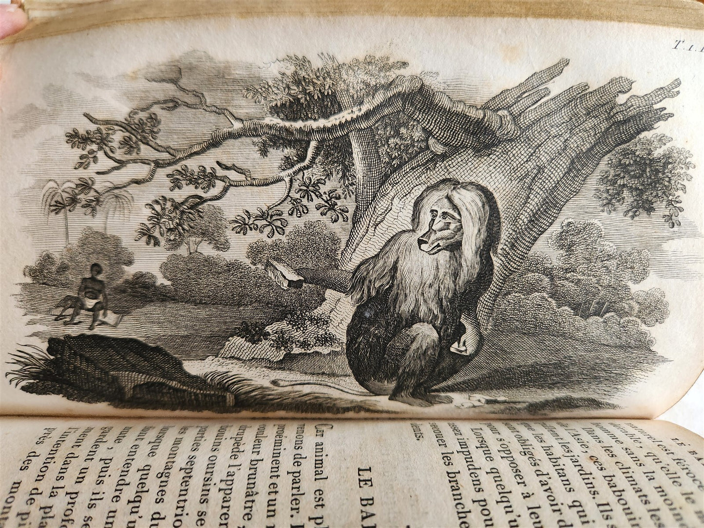 1818 HISTORY of ANIMALS ILLUSTRATED w/ 65 PLATES antique 6 VOLUMES