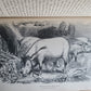 1861 EXPLORATIONS ADVENTURES in EQUATORIAL AFRICA by Chaillu illustrated antique