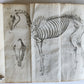 1792 HORSE ANATOMY VETERINARY TREATISE ILLUSTRATED w/ 9 WOODCUTS antique