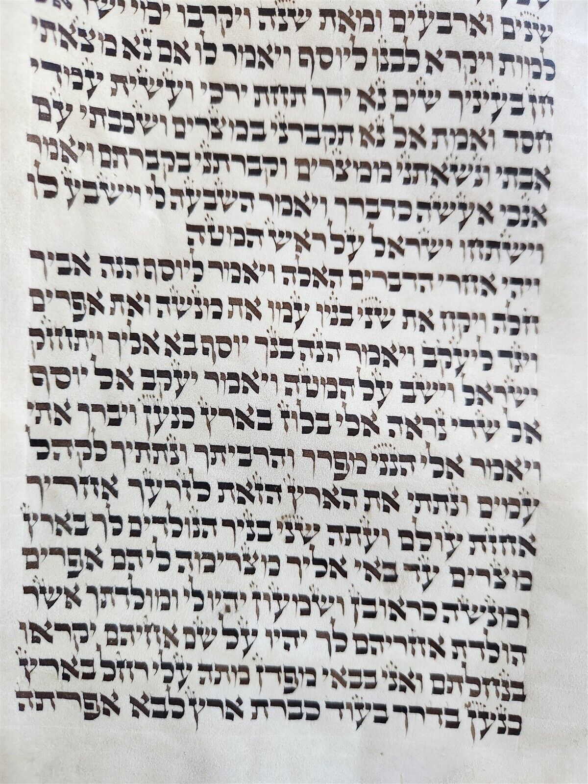 TORAH SCROLL FRAGMENT MANUSCRIPT on VELLUM antique BIBLE GENESIS 43:23 - 48:7