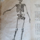 1822 ENGRAVINGS OF THE HUMAN BONES by WILLIAM CHESELDEN ILLUSTRATED antique