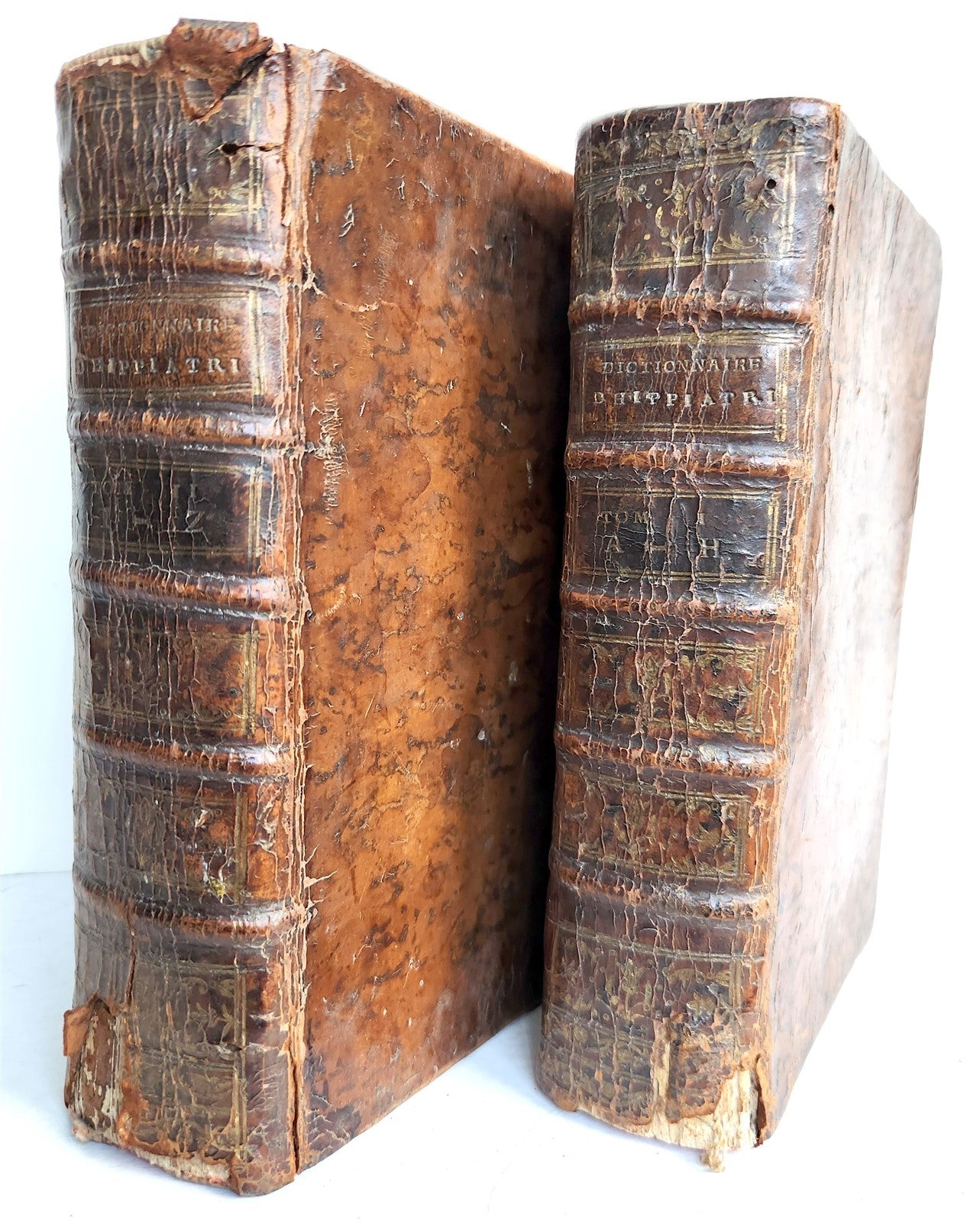 1775 DICTIONARY of HIPPIATRY CAVALRY HORSE RIDING 2 VOLUMES antique in FRENCH