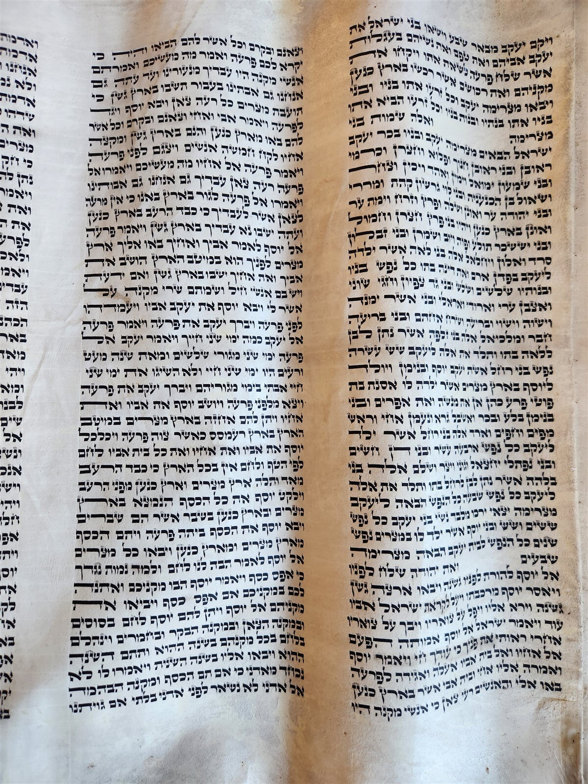 TORAH SCROLL FRAGMENT MANUSCRIPT on VELLUM antique BIBLE DEUTERONOMY 11:4-13:12