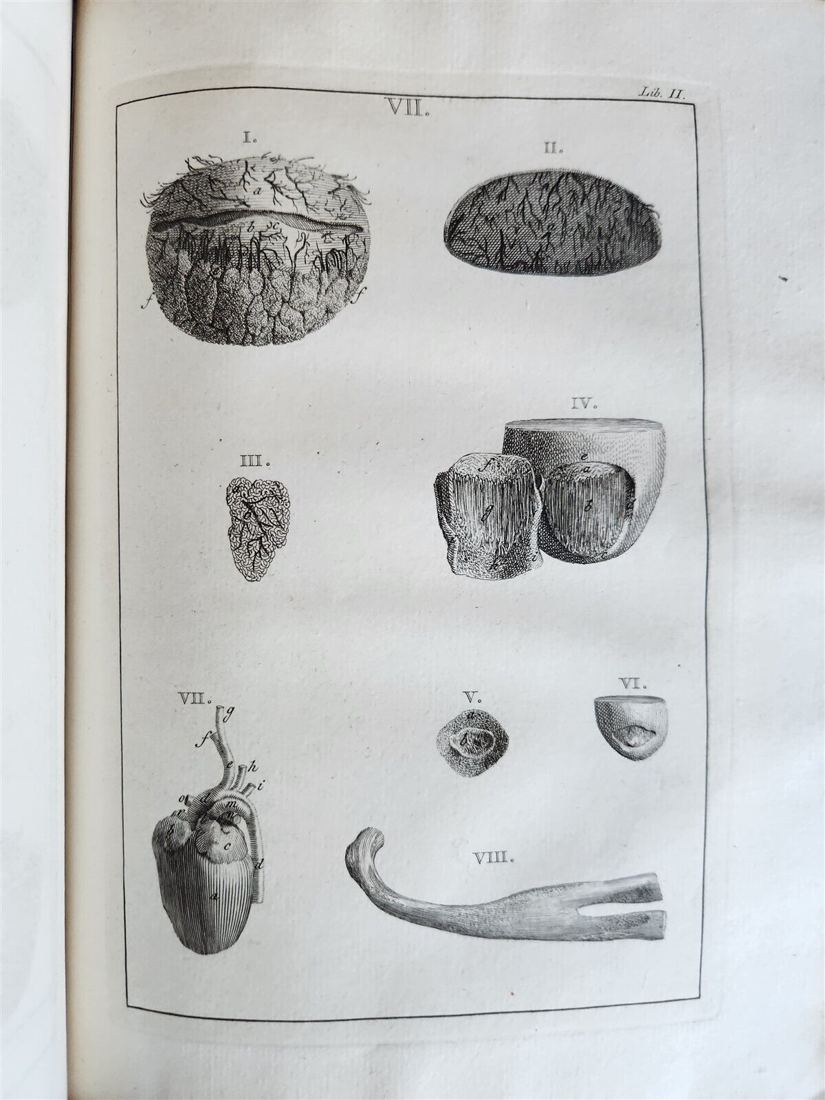 1754 ANATOMY DENTISTRY BOTANY antique ILLUSTRATED Continet anatomica physiology