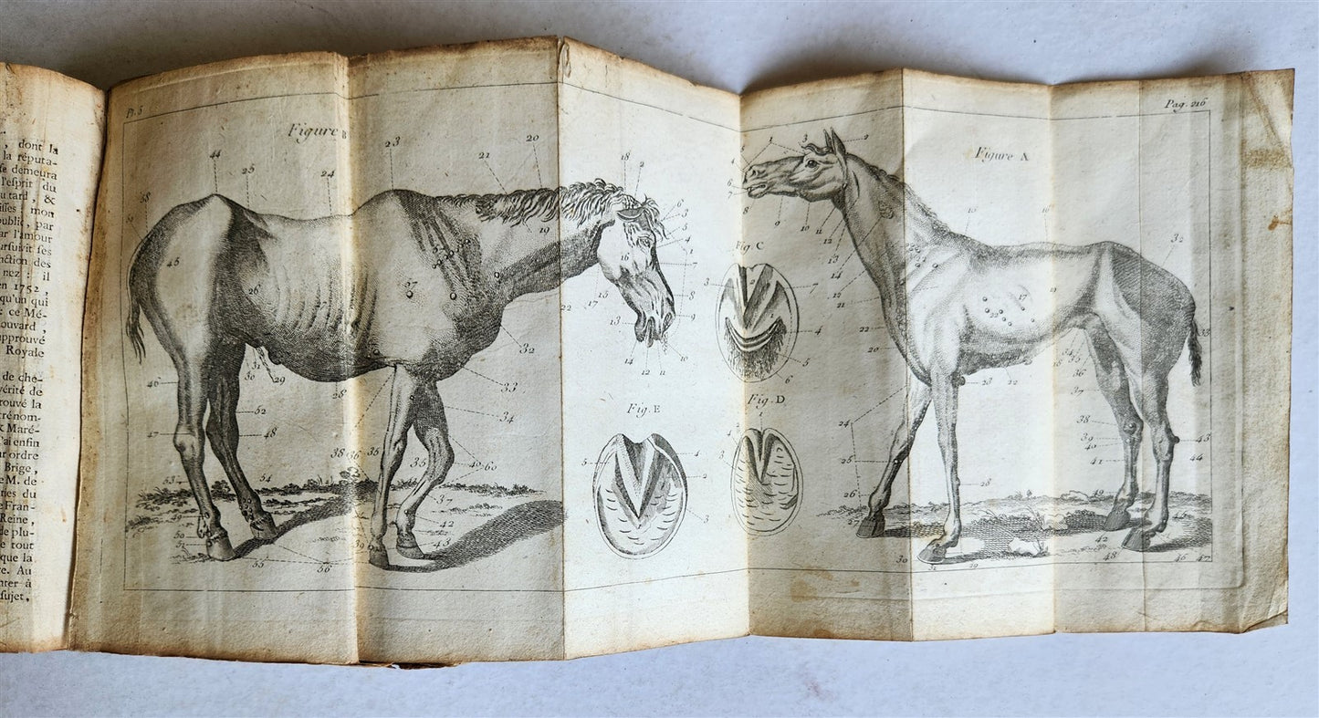 1792 HORSE ANATOMY VETERINARY TREATISE ILLUSTRATED w/ 9 WOODCUTS antique