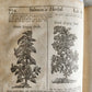 1710 BOTANOLOGIA ENGLISH HERBAL antique ILLUSTRATED MASSIVE FOLIO