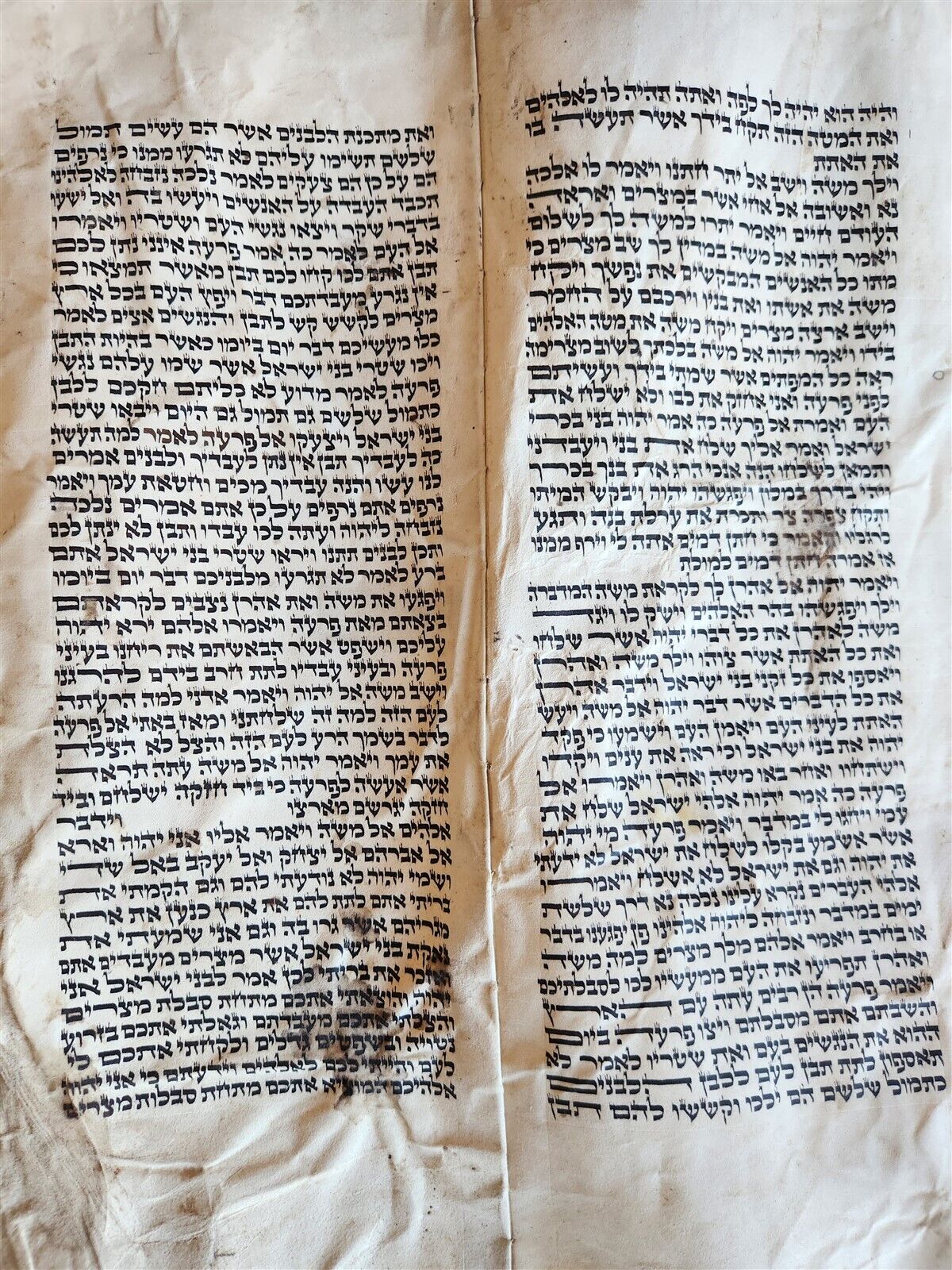 TORAH SCROLL FRAGMENT MANUSCRIPT on VELLUM antique BIBLE EXODUS