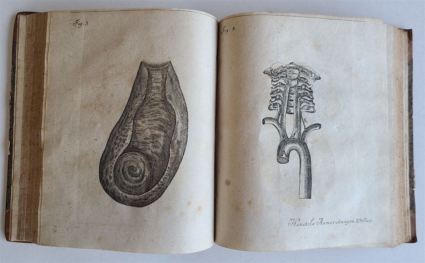 1747-1751 COLLECTION of MEDICAL & SURGICAL NOTES by Henckel ILLUSTRATED antique