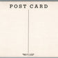 1950 PONTIAC STREAMLINER VINTAGE POSTCARD