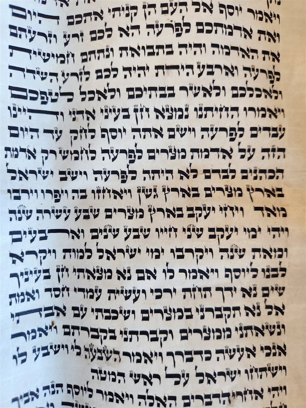 TORAH SCROLL FRAGMENT MANUSCRIPT on VELLUM antique BIBLE DEUTERONOMY 11:4-13:12