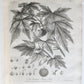 1801 SILVA: DISCOURSE OF FOREST TREES 2 VOLUMES ILLUSTRATED antique in ENGLISH