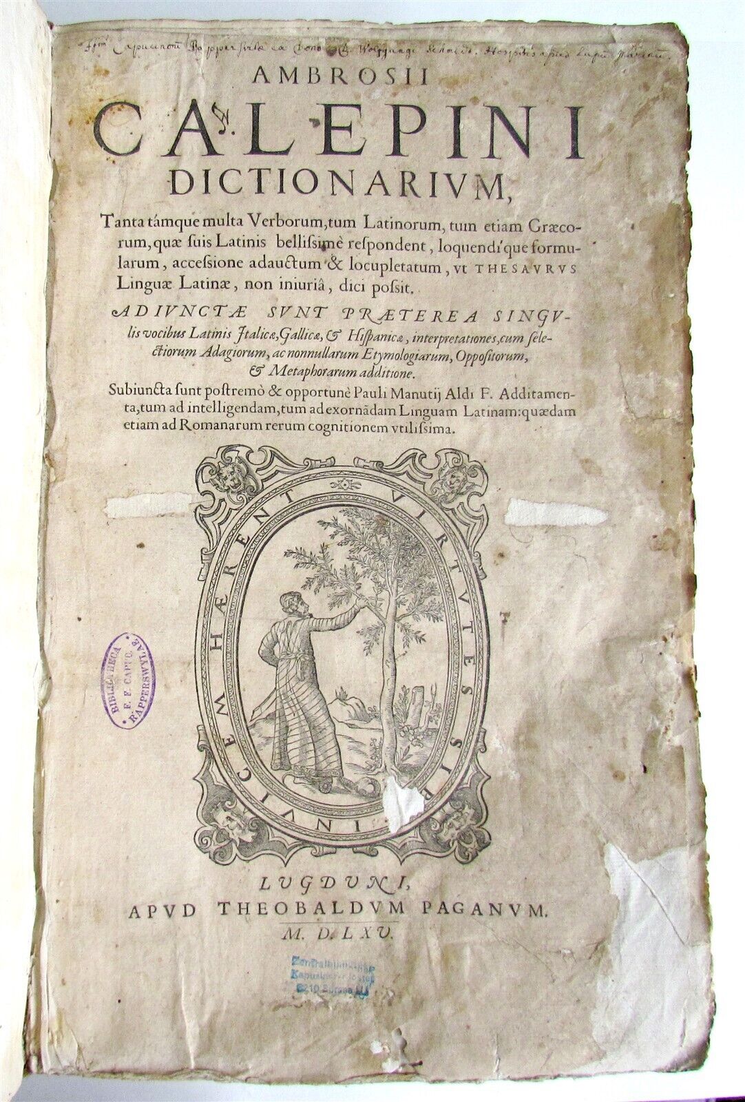 1585 LATIN DICTIONARY by AMBROSII CALEPINI DICTIONARUM antique VELLUM FOLIO