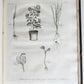 1801 SILVA: DISCOURSE OF FOREST TREES 2 VOLUMES ILLUSTRATED antique in ENGLISH