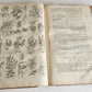 1756 BRITISH HERBAL J.HILL antique ILLUSTRATED FOLIO HISTORY OF PLANTS & TREES