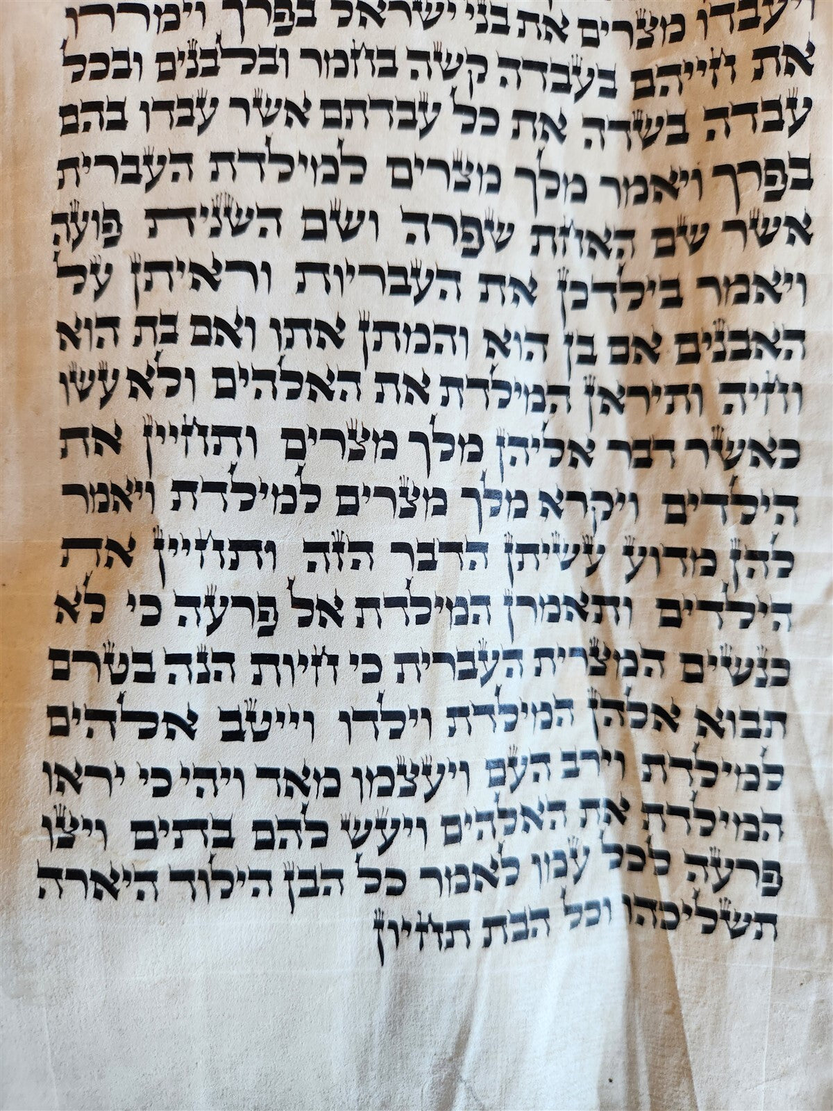 TORAH SCROLL FRAGMENT MANUSCRIPT on VELLUM antique BIBLE DEUTERONOMY 11:4-13:12