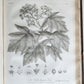 1801 SILVA: DISCOURSE OF FOREST TREES 2 VOLUMES ILLUSTRATED antique in ENGLISH