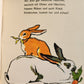 1960s ILLUSTRATED CHILDREN BOOK vintage NEUE TIER-BILDER by P.LEUTERITZ