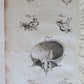 1822 ENGRAVINGS OF THE HUMAN BONES by WILLIAM CHESELDEN ILLUSTRATED antique