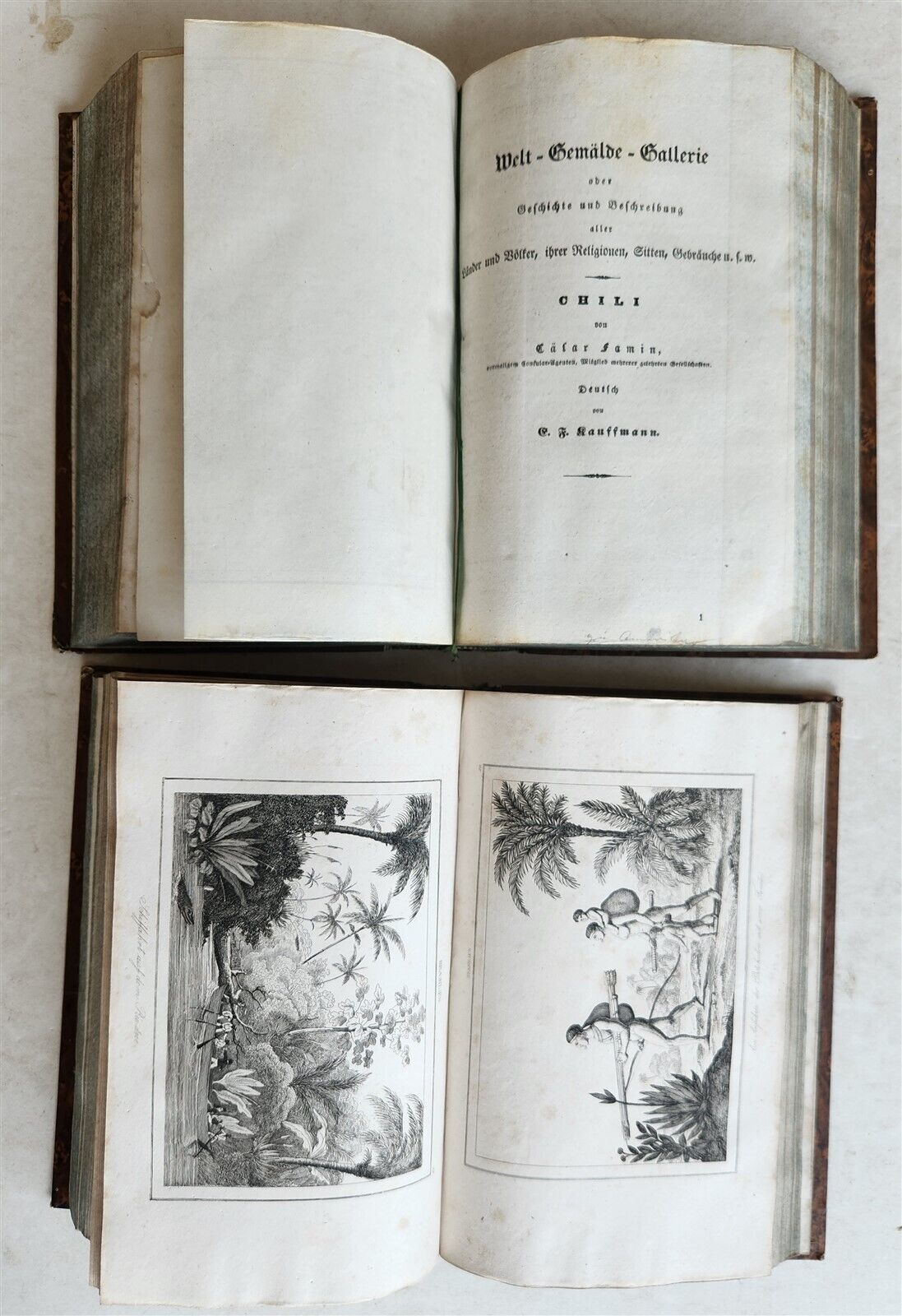 1838 ILLUSTRATED HISTORY of NORTH AMERICA Brazil Columbia & Gyana antique