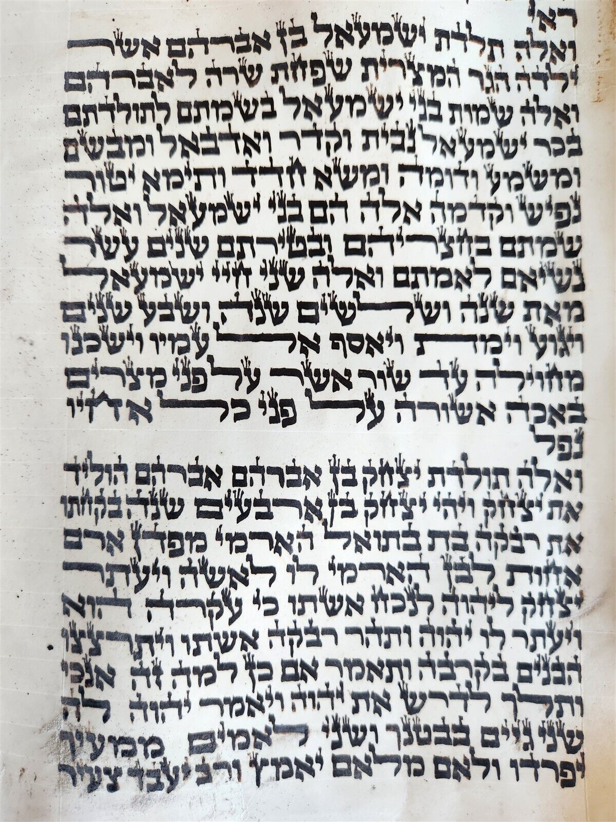 TORAH SCROLL FRAGMENT MANUSCRIPT on VELLUM antique BIBLE GENESIS 24:64 - 31:1