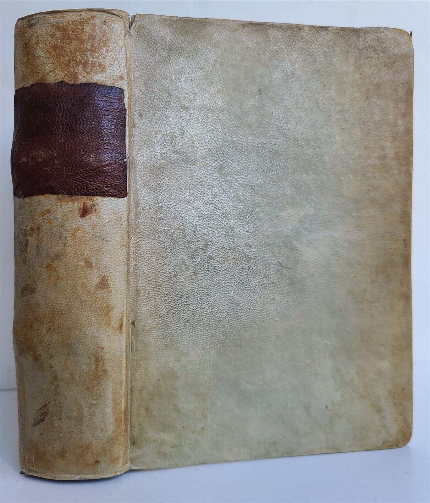 1584 COMPENDIUM THEOLOGICAE VERITATIS by ALBERTI MAGNI antique VELLUM 16th CENT.