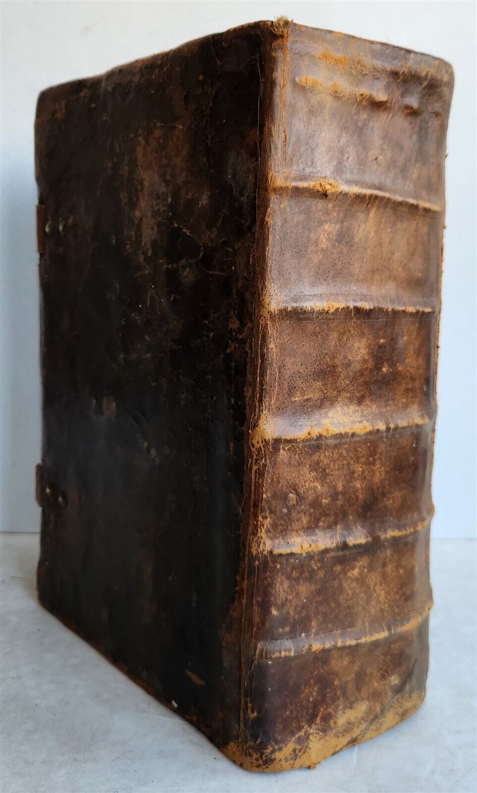 1583 ILLUSTRATED POSTILLA antique 80 WOODCUTS CRANACH SCHOOL ARTIST