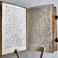 1561 THEOLOGY by FLORIAN TREFLER antique PIGSKIN BINDING 16th CENTURY