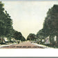 COATESVILLE PA CHESTNUT STREET ANTIQUE POSTCARD