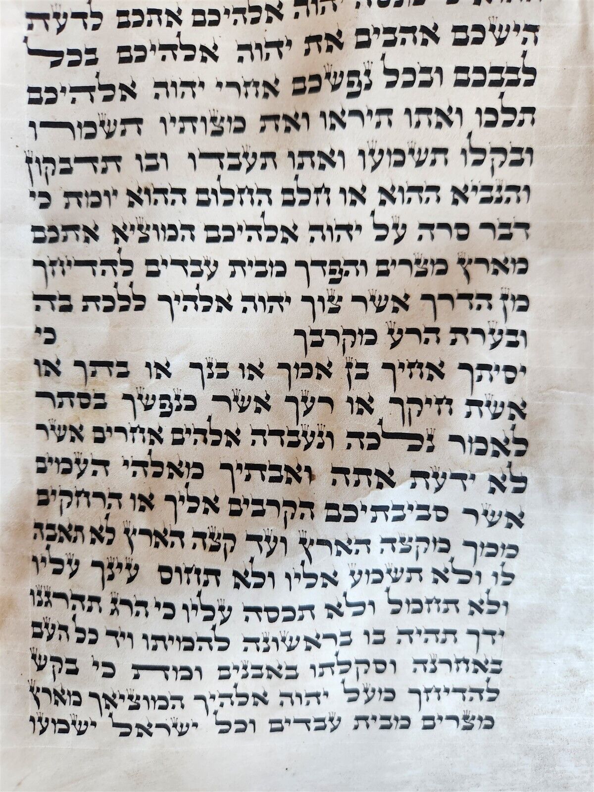 TORAH SCROLL FRAGMENT MANUSCRIPT on VELLUM antique BIBLE DEUTERONOMY 11:4-13:12