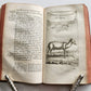 1751 HISTOIRE des VOYAGES VOL. 36 antique illustrated TRAVELS to INDIA